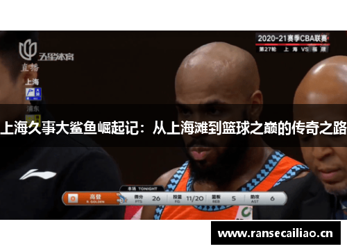 上海久事大鲨鱼崛起记：从上海滩到篮球之巅的传奇之路