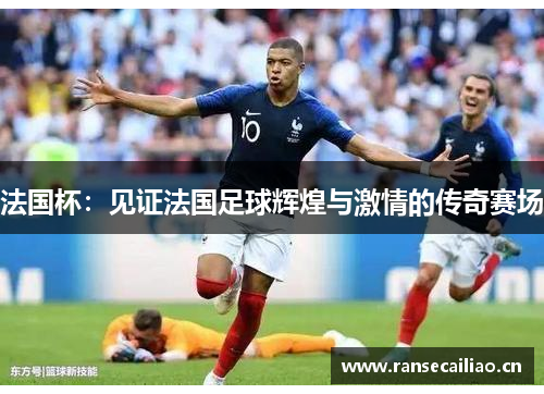 法国杯：见证法国足球辉煌与激情的传奇赛场