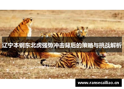 辽宁本钢东北虎强势冲击背后的策略与挑战解析 辽宁本钢东北虎强势冲击背后的策略与挑战解析